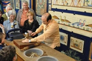 Shopping private tour to papyrus perfume bazaars cotton 4