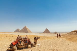 Full-Day Giza Pyramids and Egyptian Museum and Bazaar 3