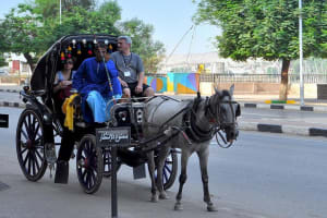 4-Hour Walking and Horse Carriage City Tour of Cairo 4