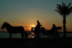4-Hour Walking and Horse Carriage City Tour of Cairo 3