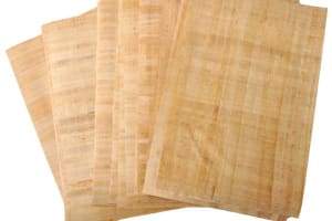 Papyrus Manufacturing Tour And Learn Papyrus making in Egypt 4