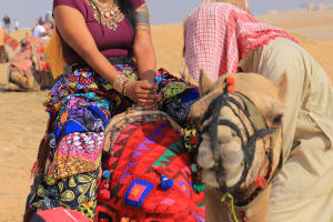 Private Full Day In Cairo From Suez City 3