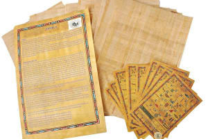 Papyrus Manufacturing Tour And Learn Papyrus making in Egypt 3