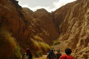  Private Full Day Snorkeling, quad biking In Dahab From Sharm El Sheikh 4