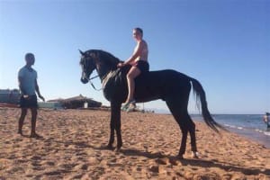 Private Transportation To Adventure Safari By Horse In Sharm El Sheikh 4