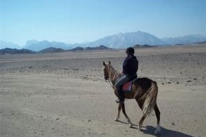 Private Transportation To Adventure Safari By Horse In Sharm El Sheikh 3