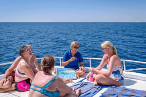 Day Tour to Red sea in Ein El Sokhna from Cairo  4