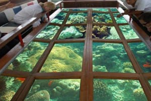 Private Transportation Tour Glass Bottom Boat In Sharm El Sheikh 4