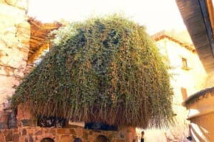 2 Days 1 Night Tour To Saint-Catherine From Cairo 3