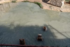Private Safari Tour To Africano Park Alexandria From Cairo 3