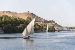 Private 1-Hour Felucca Sailing and Botanical Garden In Aswan 4