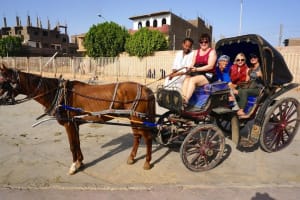Aswan City Private Tour by Horse Carriage 3