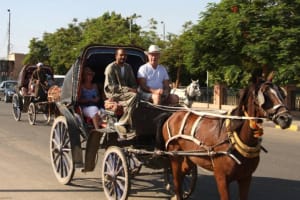 3-Hour Private Luxor Horse Carriage City Tour 4