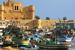 From Cairo: Private Full-Day Tour of Historical Alexandria 3