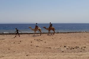 Private Day Tour To Blue Lagoon And Ras Abu Galum From Dahab 4