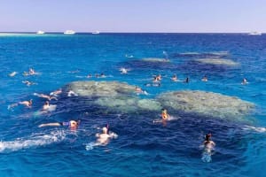Full-Day Snorkeling Adventure In Tiran Island By Boat 4