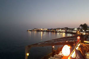 Snorkeling, Camel Ride Private Day Tour In Dahab From Sharm El Sheikh 4