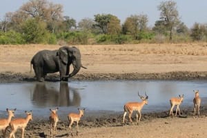Private Tour To Africano Park Alexandria Safari From Cairo 3