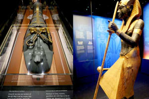 Half Day Tour Visit King Tut Museum in Sharm EL Sheikh 4