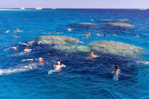 Budget Snorkeling Trip To Giftun Island 3