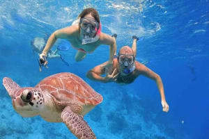Glass Bottom Boat in Sharm El Sheikh 3
