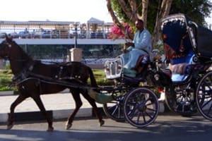 Cairo By Night and Free Walking Tours In Cairo with Private Transfer 3