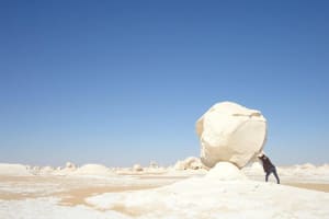 Day Trip To Bahariya Oasis Visit Black And White Desert From Cairo 4