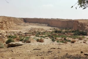 Relaxing Day Tour To Wadi Degla Protectorate In Cairo 4