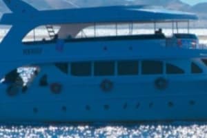 Snorkeling Trip on Yacht With Lunch From Cairo 3