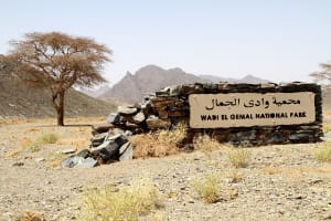  Safari Day Tour To Wadi El Gamal National Park From Marsa Alam 4