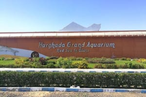 Hurghada Grand Aquarium 3
