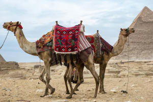 Cairo Photography Tours 4