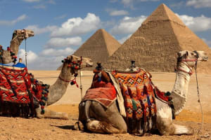 Day tour to Giza Pyramids Egyptian Museum and old market  4
