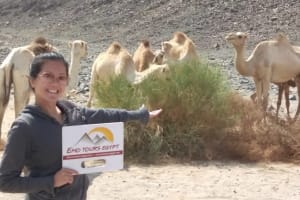 3 Days 2 Nights Tour Package to Siwa Oasis From Cairo  4