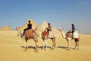 From Sharm El Sheikh: 2-Day Cairo & Alexandria Private Tour 4