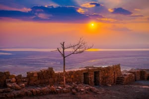 Dead Sea and Masada 1 day tour  3