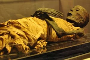 Cairo Tour To Egyptian Museum And Cairo Tower & Boat Ride On The Nile 4