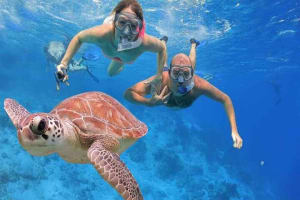 Budget Snorkeling Trip To Giftun Island in Hurghada  4