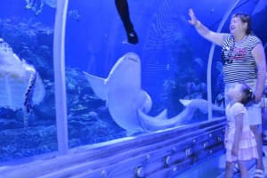 Hurghada Grand Aquarium 4