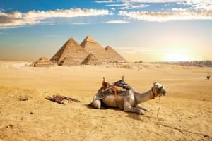 Giza Pyramids and Grand Egyptian Museum 3