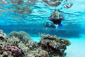 Full Day In Sharm El Sheikh From Cairo By Flight 3