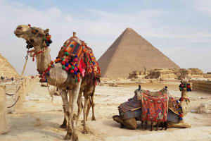Discover Ancient Wonders Half Day Tour Giza Pyramids and Sphinx 4