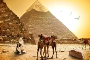 Private Guided Day Tour to Memphis Saqqara and Giza from Cairo with Lunch 3