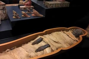 Historical Day Tour To Luxor And Mummification Museums 4