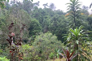 paraiso verde over night 4