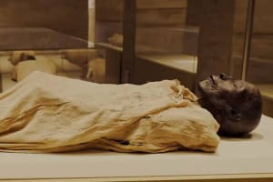 Cairo Half Day Tour To THE National Museum Of Egyptian Civilization  4