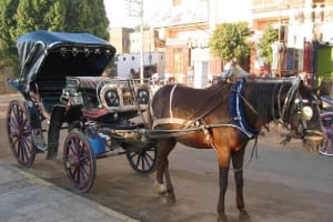 Cairo by Night Tour, Walking Tours & Horse Carriage 3