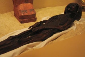 Private Half Day Tour Visit Luxor and Mummification Museums  3