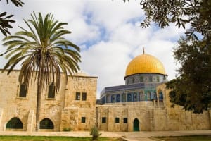 All around Israel, Jordan, and Egypt 20 days  3