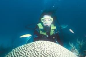 PADI Discover Scuba Diving 3